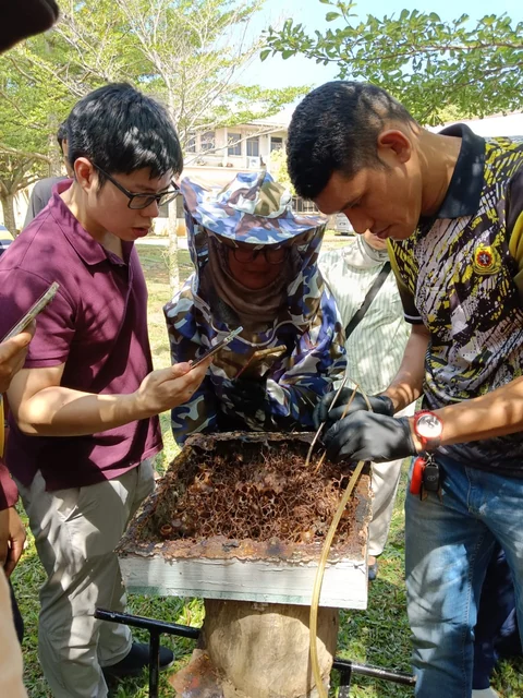 Peserta memerhatikan demonstrasi pemeriksaan koloni kelulut di luar makmal.